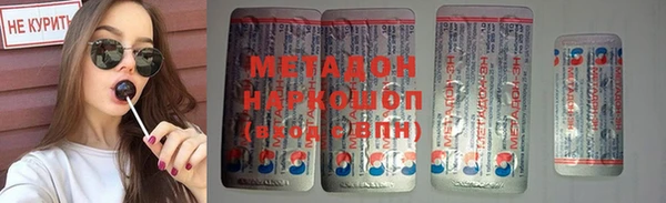 прущие грибы Аркадак