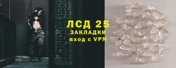 прущие грибы Аркадак
