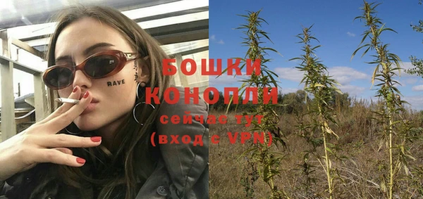 прущие грибы Аркадак