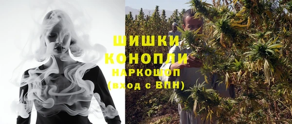 прущие грибы Аркадак