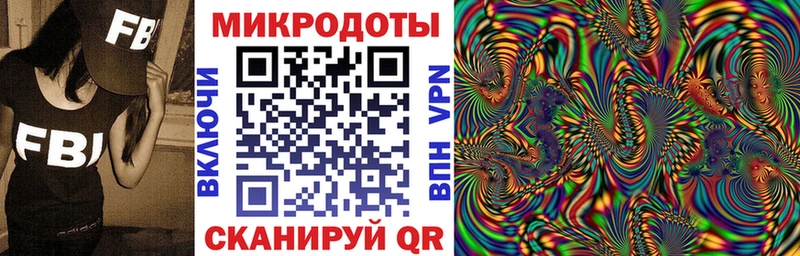 купить   Арсеньев  Галлюциногенные грибы Psilocybine cubensis 
